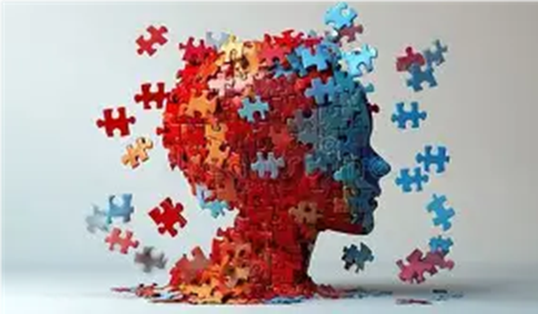 Brain